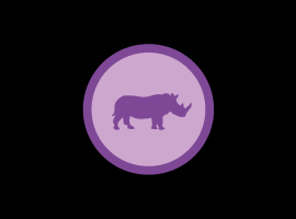 Rhinoceros - Modellazione 3D