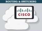 Corso di progetto formazione lavoro cisco ccna con stage di 