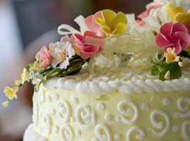 VIDEO CORSO DI CAKE DESIGN